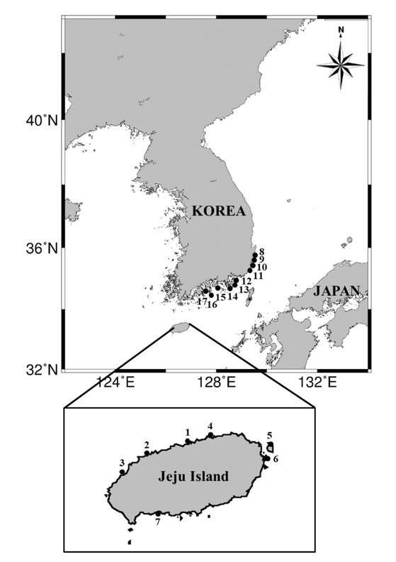 파란선문어 발견 지점 (출처:Toxins, 2023)