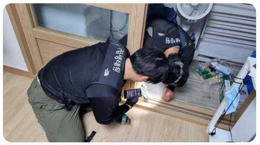 강남 흰개미 민원접수 현장 조사모습 (출처:환경부)