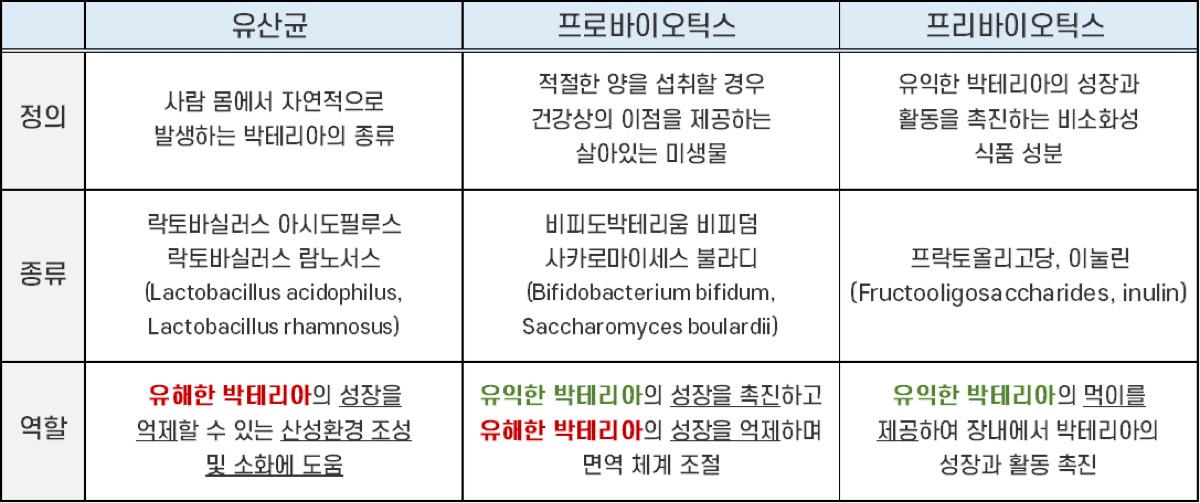 유산균VS프로바이오틱스VS프리바이오틱스